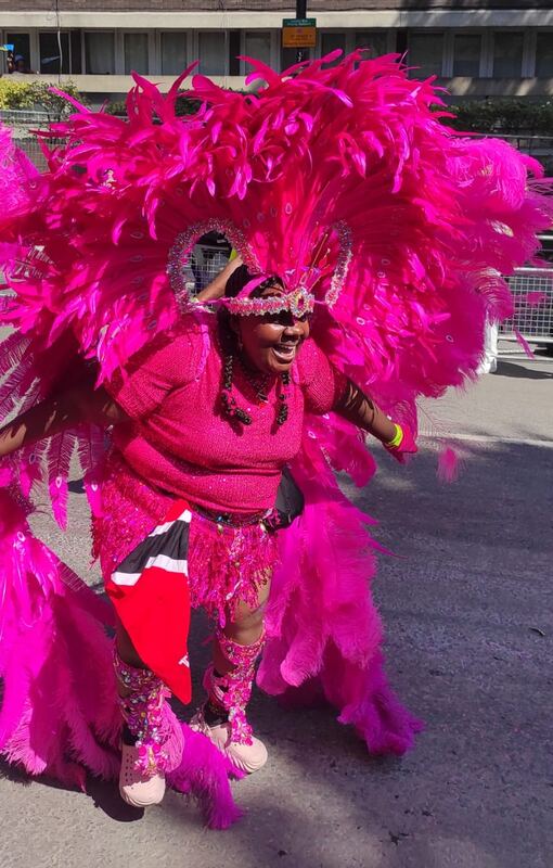 Carnival masquerader in pink feathered costume